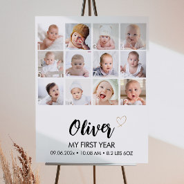 Meilenstein des Neuen Fotos Poster