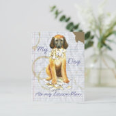 Mein afghanisches Hound hat meinen Lektionsplan au Postkarte (Stehend Vorderseite)