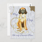 Mein afghanisches Hound hat meinen Lektionsplan au Postkarte (Vorne/Hinten)