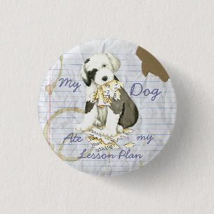 Mein alter Englisch Sheepdog hat meinen Lektionspl Button