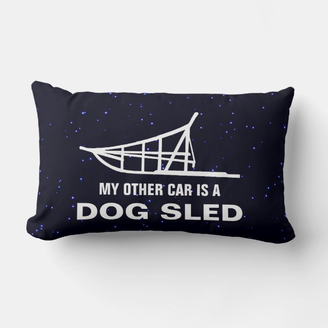 Mein anderes Auto ist gekocht Lendenkissen (Vorderseite)