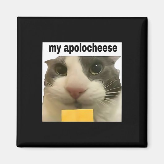 Mein Apolokäse Funny Cat Meme Brainrot Gen Z Spaß Magnet (Vorne)
