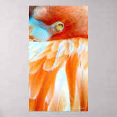 Mein Auge auf dich_Poster Poster (Vorne)