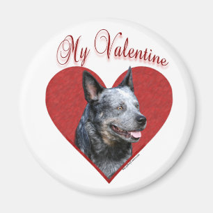 Mein australischer Rinderhund Valentine Magnet