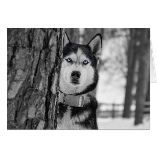 Mein Baby Blue Eyes (Vorderseite (Horizontal))