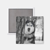 Mein Baby Blue Eyes Magnet (Vorderseite/Rückseite)