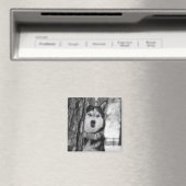 Mein Baby Blue Eyes Magnet (In Situ (Geschirrspüler))