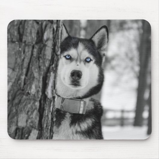 Mein Baby Blue Eyes Mousepad (Vorne)