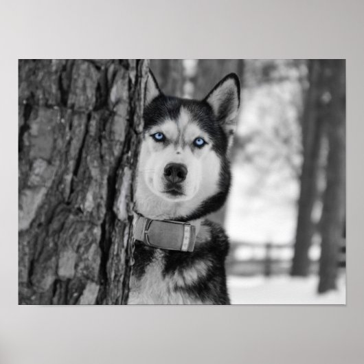 Mein Baby Blue Eyes Poster (Vorne)