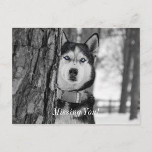 Mein Baby Blue Eyes Vermisst Postkarte