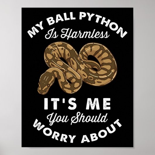 Mein Ball Python ist harmlos. Ich sollte dir etwas Poster (Vorne)
