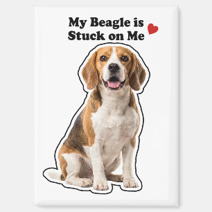 Mein Beagle Klebt An Mir Süßer Hundeliebhaber Magnet