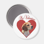 Mein Beagle Valentine Magnet (Vorderseite/Rückseite)
