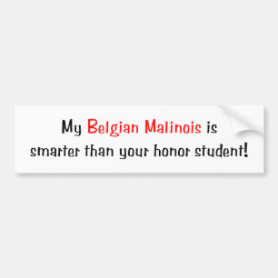 Mein belgischer Malionis ist intelligenter… Autoaufkleber