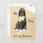 Mein belgischer Schäferhund Ate Meine Hausaufgaben Postkarte (Vorne/Hinten)
