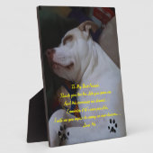 Mein bester Freund Fotoplatte (Seite)