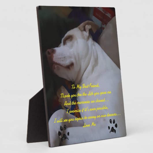 Mein bester Freund Fotoplatte (Seite)