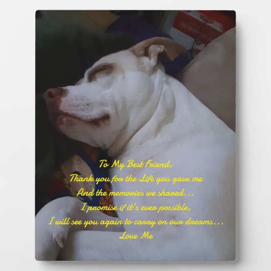 Mein bester Freund Fotoplatte (Vorderseite)