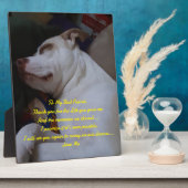 Mein bester Freund Fotoplatte (Seite)