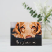 Mein bester Freund hat Pfotenhund, Puppy Meme Postkarte (Stehend Vorderseite)