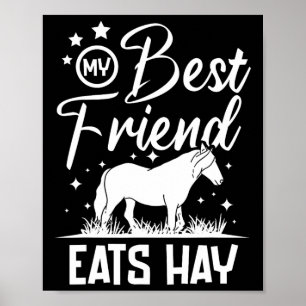 Mein bester Freund isst Hay Poster