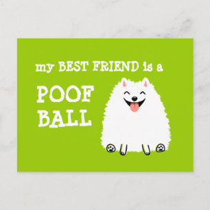 Mein bester Freund ist ein Poof Ball - Funny Spitz Postkarte