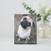 Mein bester Freund ist Mops Postkarte (Stehend Vorderseite)