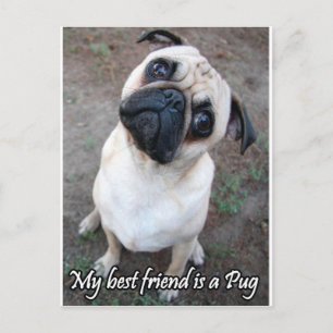 Mein bester Freund ist Mops Postkarte