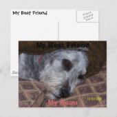 Mein bester Freund Postkarte (Vorne/Hinten)