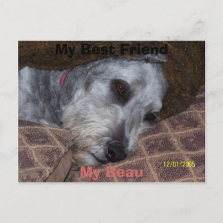 Mein bester Freund Postkarte