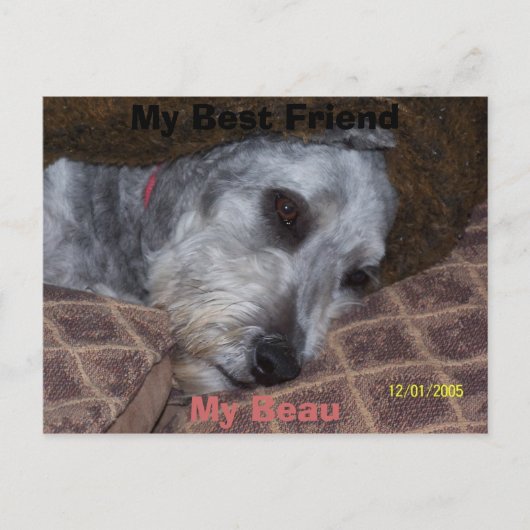 Mein bester Freund Postkarte (Vorderseite)