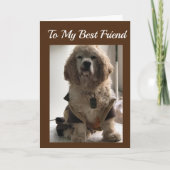 **MEIN BESTES FREUND** AM GEBURTSTAG KARTE (Vorderseite)