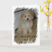 MEIN "BESTES FREUND" ist A Bichon Poo Karte (Gelbe Blume)