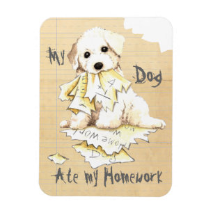 Mein Bichon Ate meine Hausaufgaben Magnet