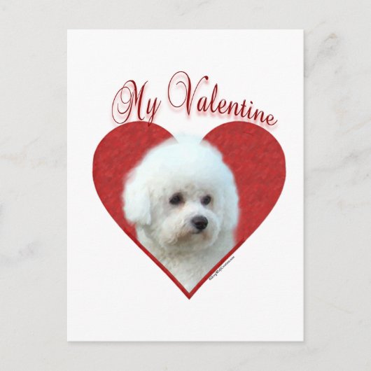 Mein Bichon Frise Valentine Feiertagspostkarte (Vorderseite)