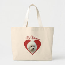 Mein Bichon Frise Valentine
