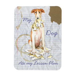 Mein Borzoi Ate my Lessingplan Magnet