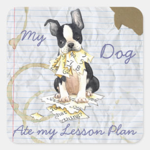 Mein Boston Terrier Ate My Lessingplan Quadratischer Aufkleber