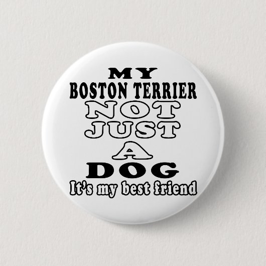 Mein Boston Terrier nicht gerade ein Hund Button (Vorderseite)