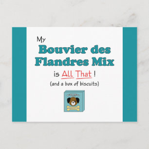 Mein Bouvier des Flandres Mix ist alles, was! Postkarte