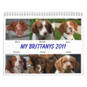 Mein Brittanys 2011 Kalender (Titelbild)