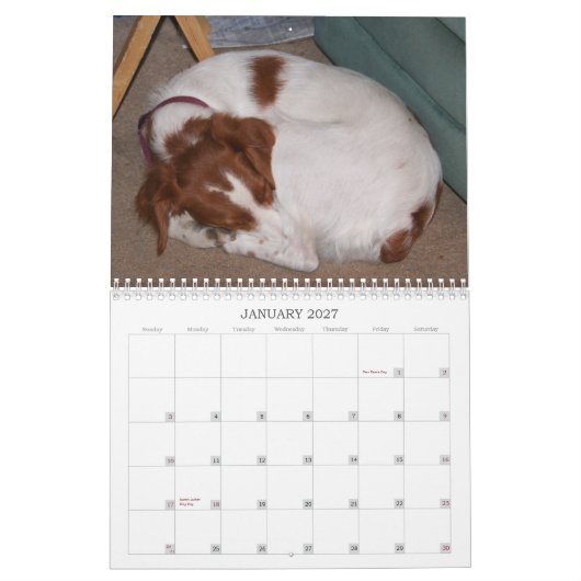 Mein Brittanys 2011 Kalender (Jan 2027)