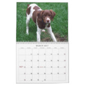 Mein Brittanys 2011 Kalender (Mär 2027)