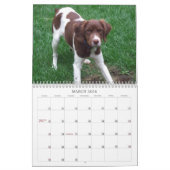 Mein Brittanys 2011 Kalender (Mär 2026)