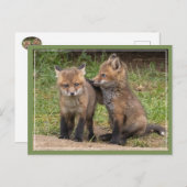 Mein Bruder/Schwester, mein Freund Postkarte (Vorne/Hinten)