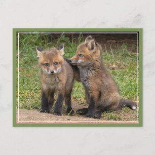 Mein Bruder/Schwester, mein Freund Postkarte