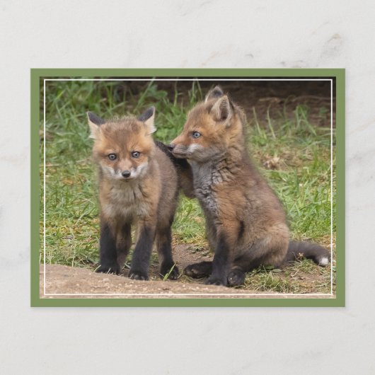 Mein Bruder/Schwester, mein Freund Postkarte (Vorderseite)