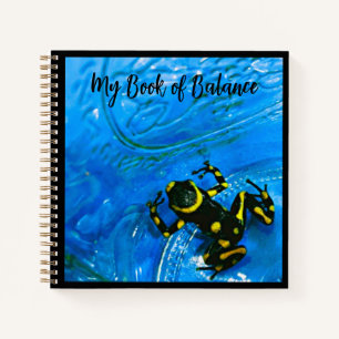 Mein Buch der Balance-Spiral-Notebook