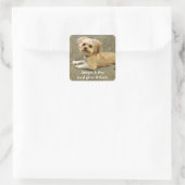 Mein Buddy _Sticker Quadratischer Aufkleber (Tasche)