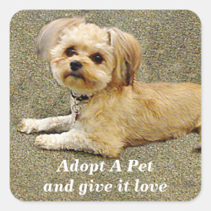 Mein Buddy _Sticker Quadratischer Aufkleber